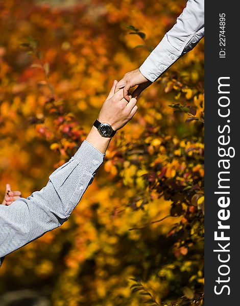 Young loving couple holding hands on the background of the forest. Young loving couple holding hands on the background of the forest