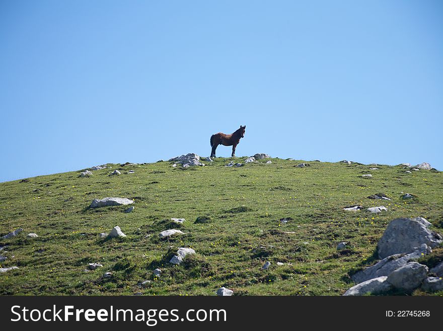 Picos de Europa mountains next to Fuente De village Cantabria Spain. Picos de Europa mountains next to Fuente De village Cantabria Spain