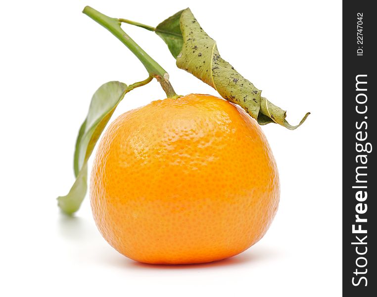 Mandarin Orange