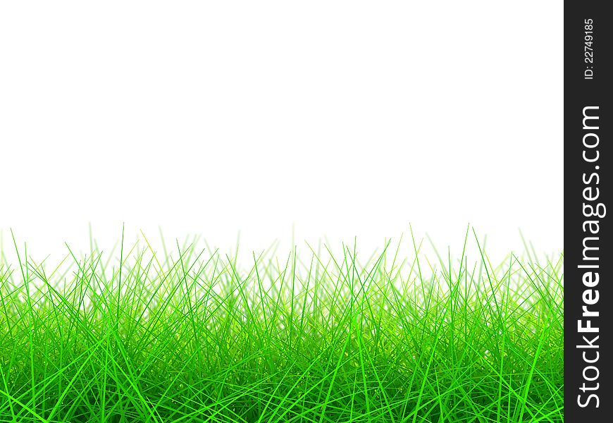 3D Green Grass Background on White