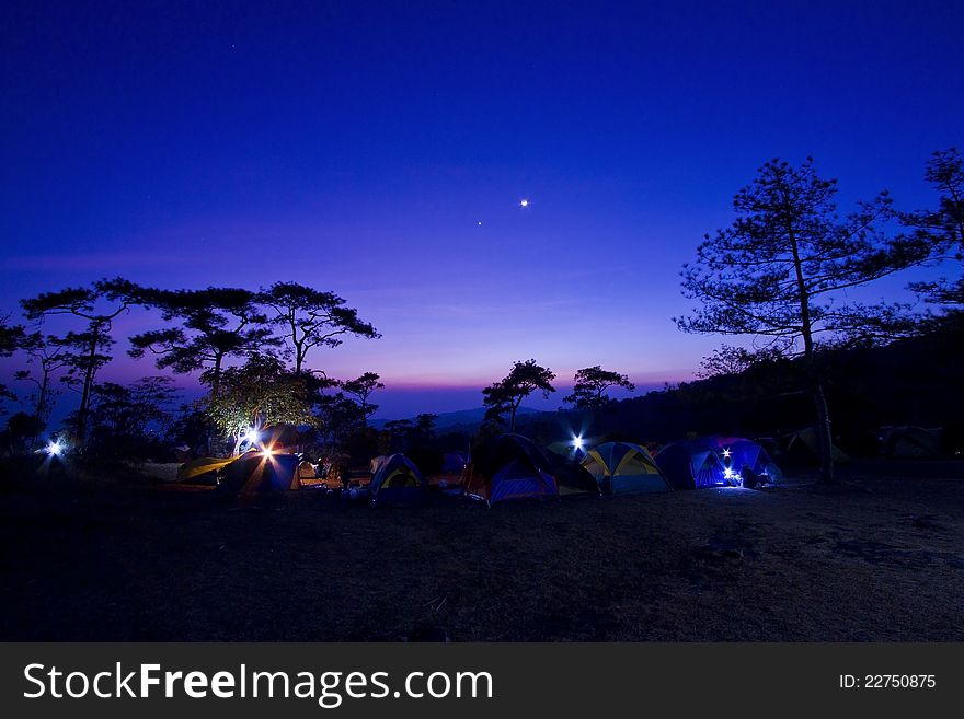 Colourful Sky And Silhoutte Pine Tree