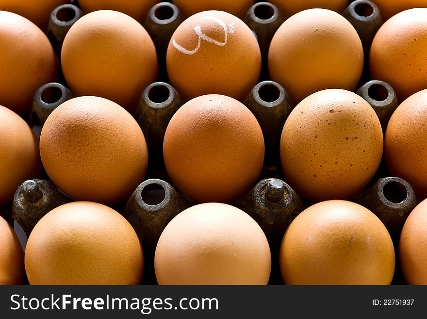 Eggs In The Panel.