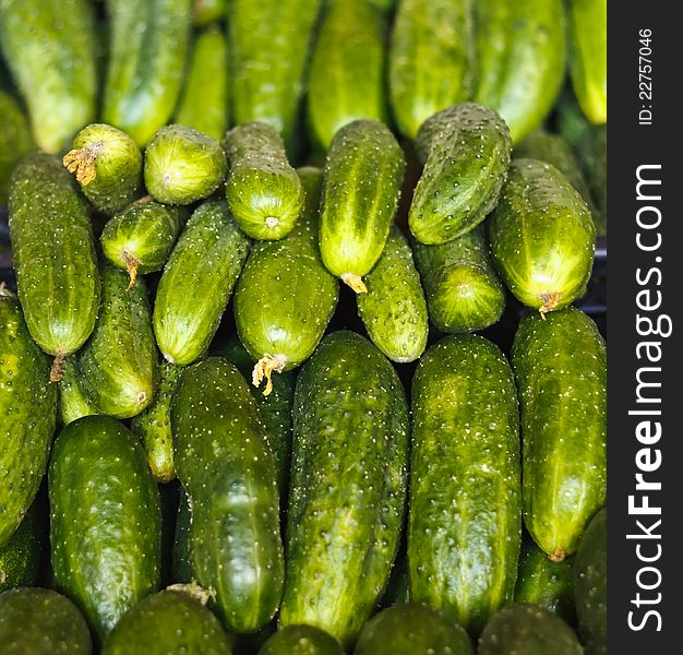Cucumbers bunched together For Sale At Market good as a background. Cucumbers bunched together For Sale At Market good as a background