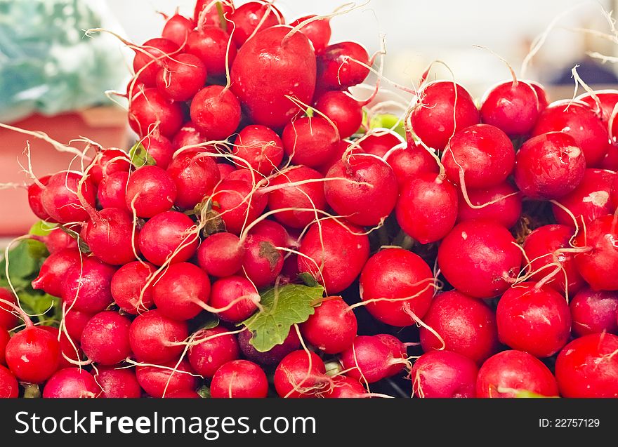 Farm Fresh Radishes on a market