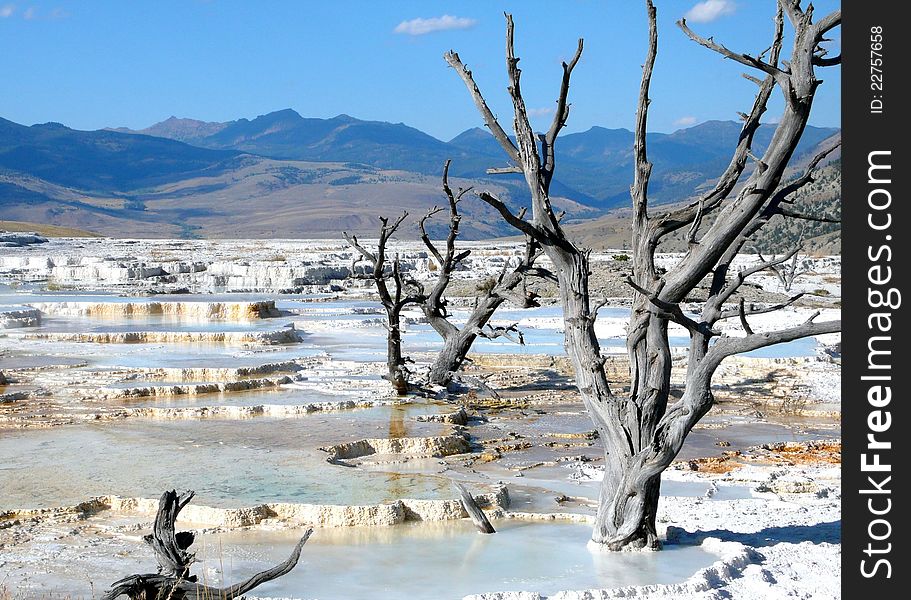 Mammoth Hot Springs in Yellowstone National Park.