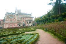 Buçaco Palace Garden Royalty Free Stock Image Buçaco Palace Garden Royalty Free Stock Image