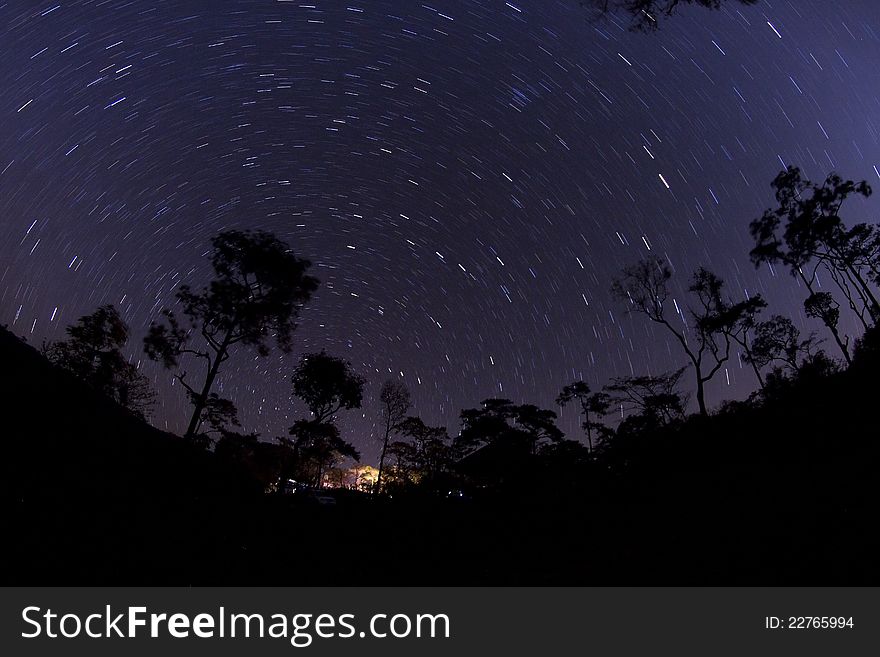 Star tail over tie pine tree. Star tail over tie pine tree