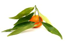 Juicy Mandarin With Green Leaves Stock Images Juicy Mandarin With Green Leaves Stock Images
