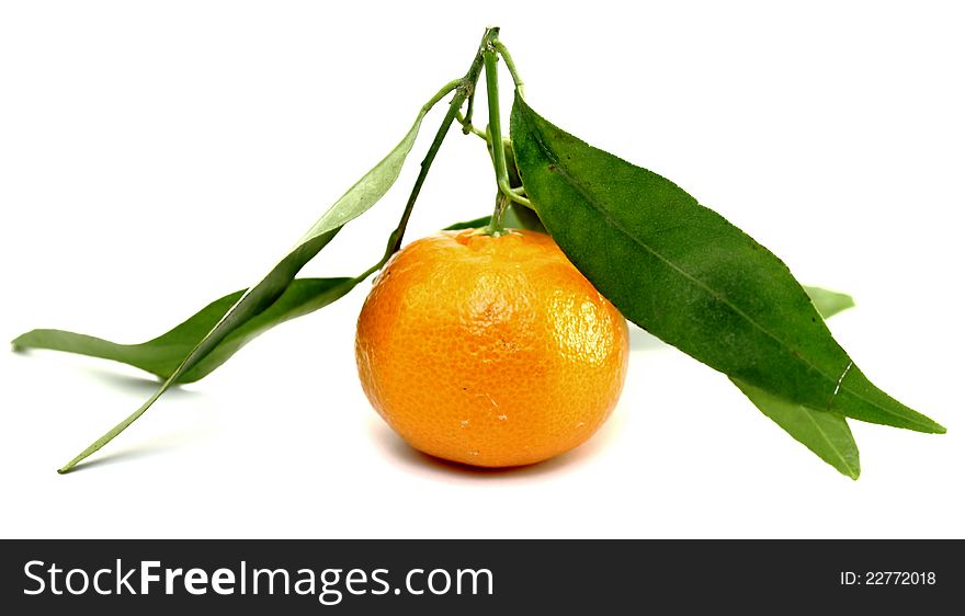 Juicy mandarin with green leaves on a white background closeup