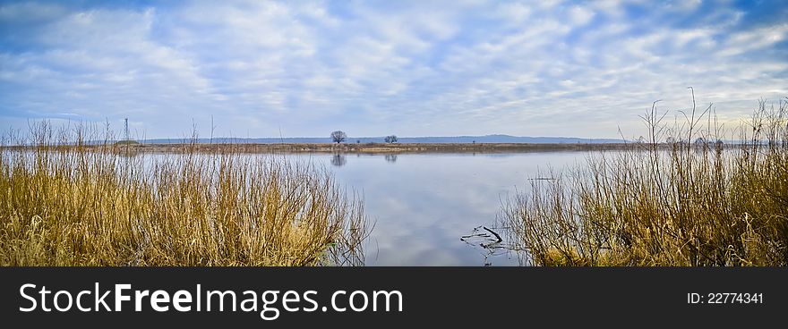 Bushes on River bank Neman in January. Bushes on River bank Neman in January