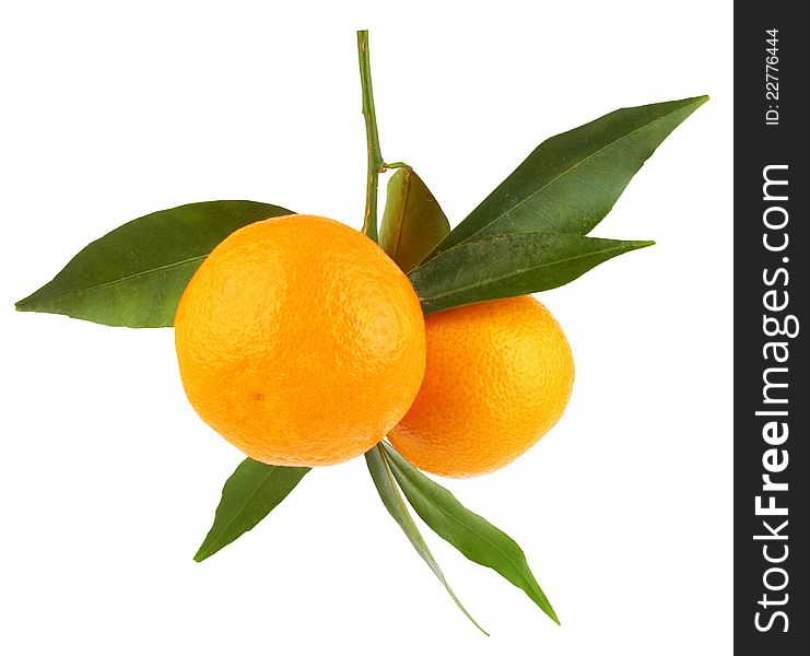 Ripe tangerines isolated on white background