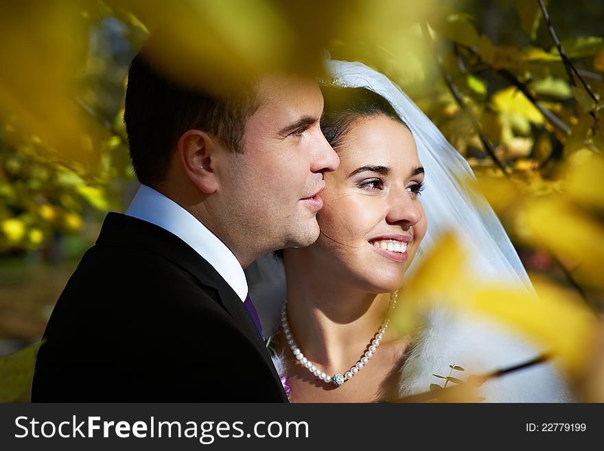 Portrait Bride And Groom In Yellow Autumn Foliage