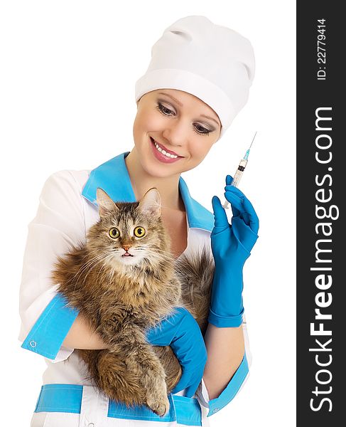 Veterinarian makes the injection of a cat on a white background. Veterinarian makes the injection of a cat on a white background