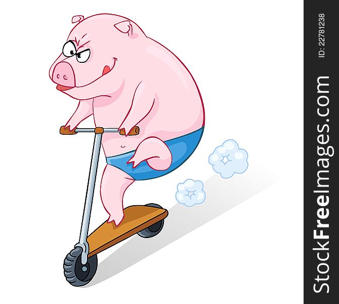 The pig goes on a skateboard