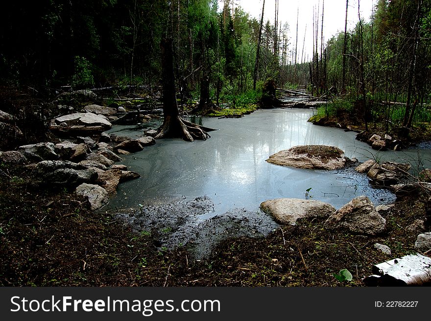 The swamp in Finland. The swamp in Finland.