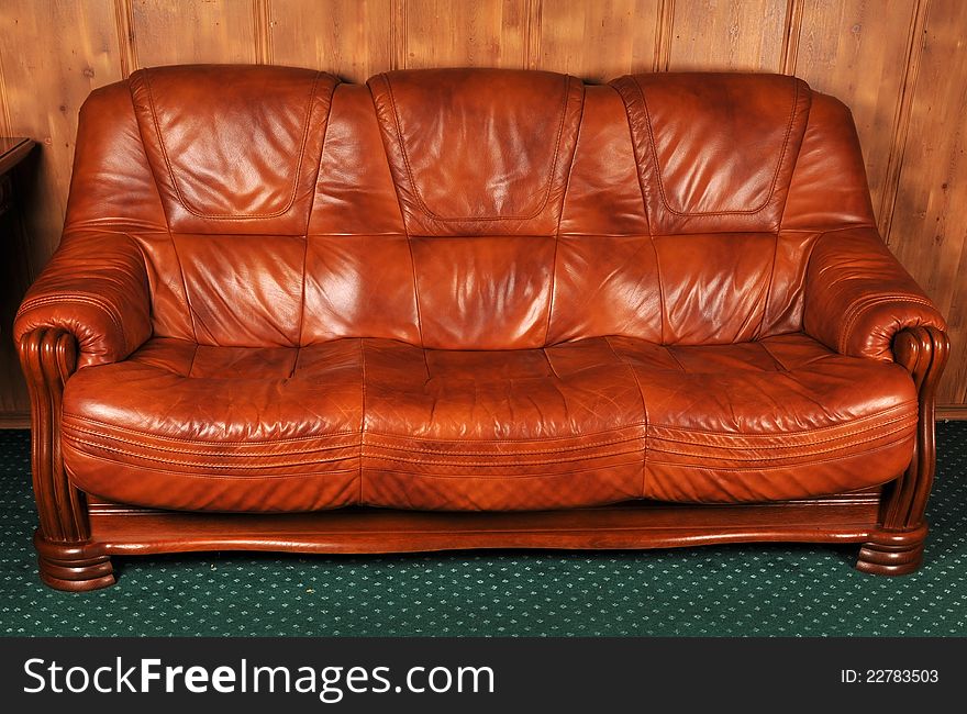 Leather sofa orange color with tree sits on it in front of wooden wall