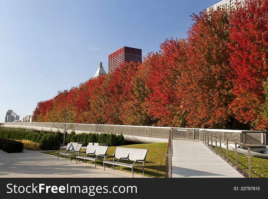 View of the autumn park in Chicago. View of the autumn park in Chicago