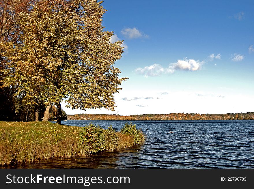 Landscape With Lake In An Autumn Sunny Day