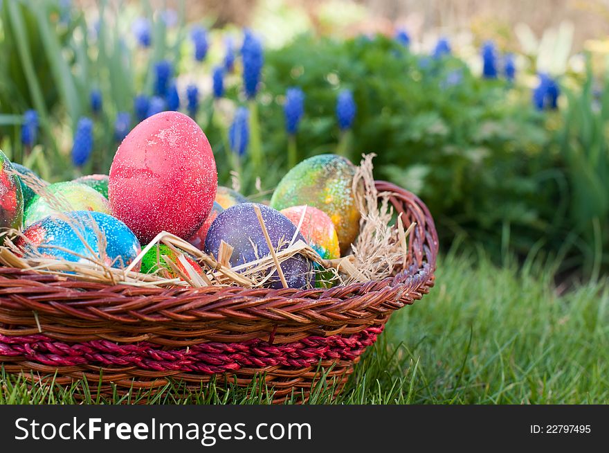 Easter Eggs Hunt