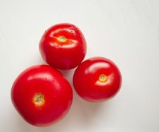 Three Fresh Tomatoes Stock Image
