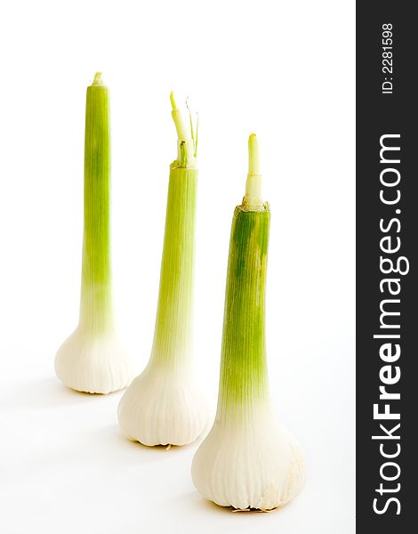 Three fresh garlics on a white background