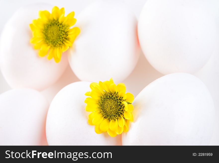 6 white eggs with two small flowers. 6 white eggs with two small flowers