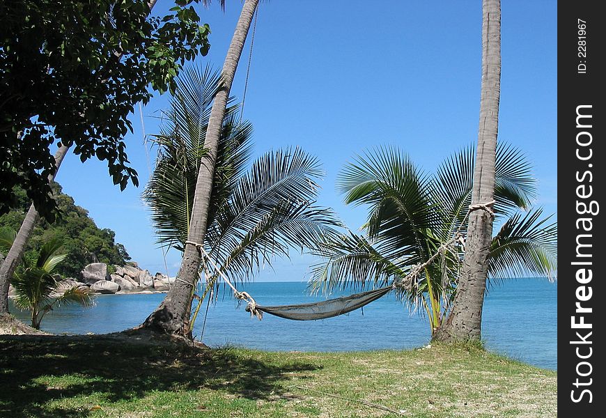 Hammock on beach