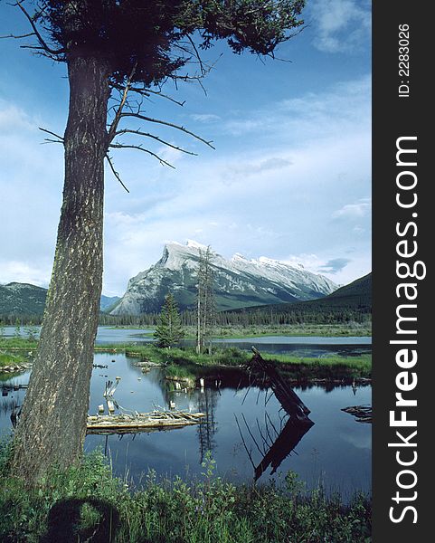 Rundle Mountain Banff Alberta Canada