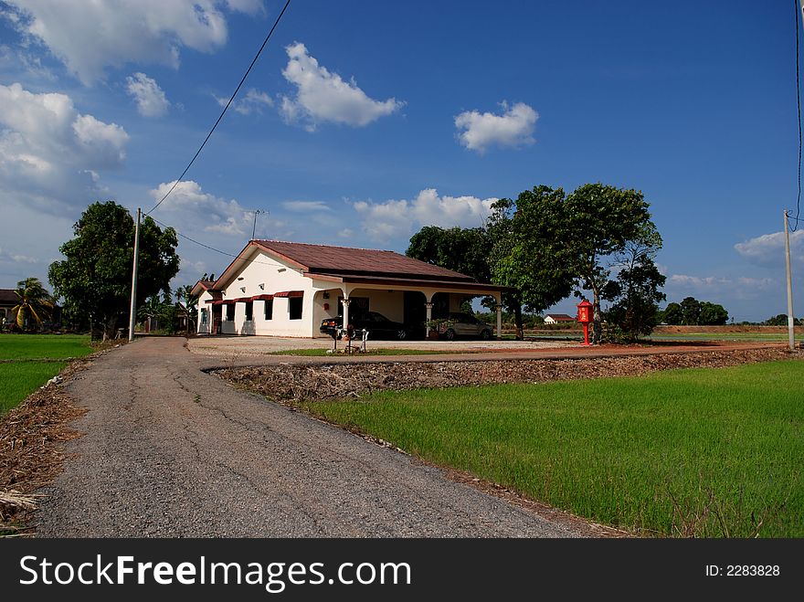 House, Paddy Field Countryside