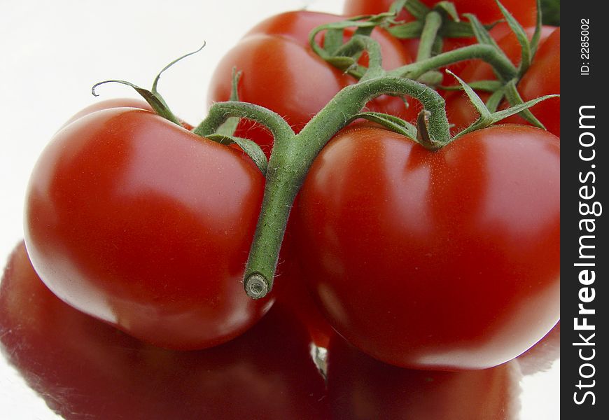 Branch of fresh tomatoes on reflective background. Branch of fresh tomatoes on reflective background