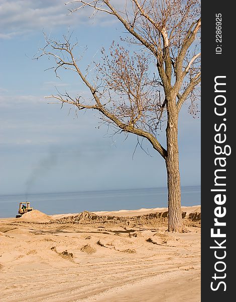 Bulldozer leveling the sand on a beach with lone tree. Bulldozer leveling the sand on a beach with lone tree