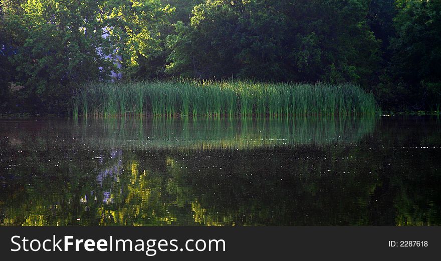 Reflections On A Pond