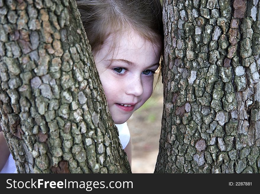 Little Girl Peeking Through the Tree Trunks in a Park. Little Girl Peeking Through the Tree Trunks in a Park