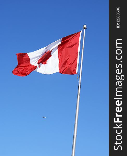 Photo of canada's flag waiving froud on the air