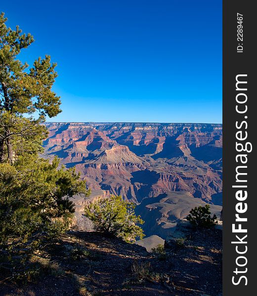 Grand Canyon during an early spring day