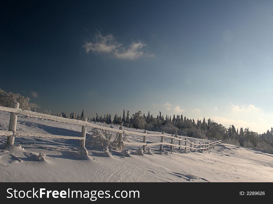 Winter landscape in the sunny frosty day