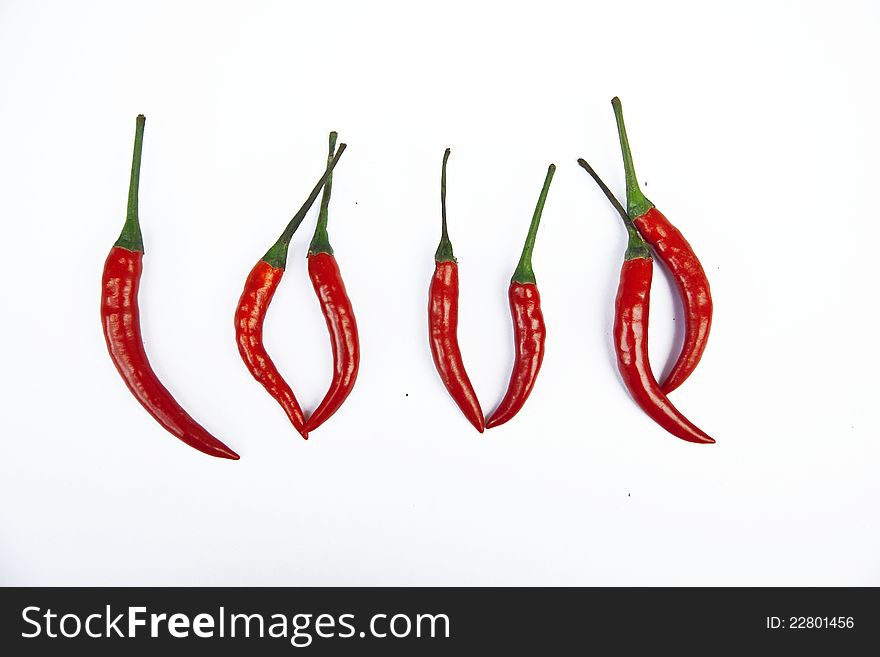 The word love of chili peppers. The word love of chili peppers