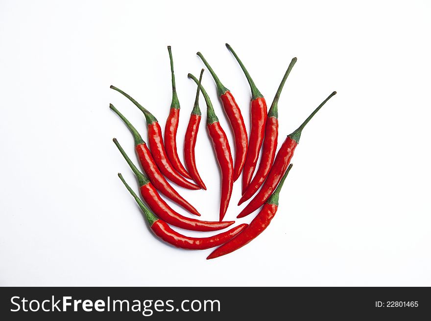 Chili on a white background