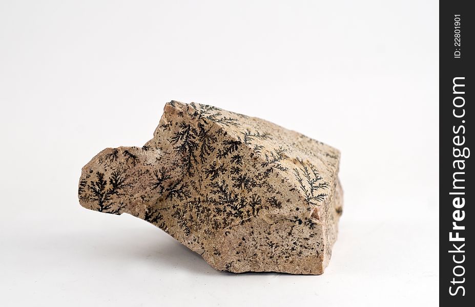 A rock from the Sinai peninsula, showing filigree like structure - possible ancient plant fossils (ferns) or impregnated liquids that fill the minute channel-like structures within the rocks. A rock from the Sinai peninsula, showing filigree like structure - possible ancient plant fossils (ferns) or impregnated liquids that fill the minute channel-like structures within the rocks.