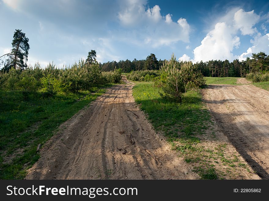 Trails on the hill made by logging