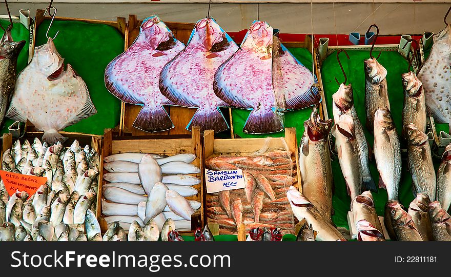 Mediterrien fish market, Istanbul, Turkey