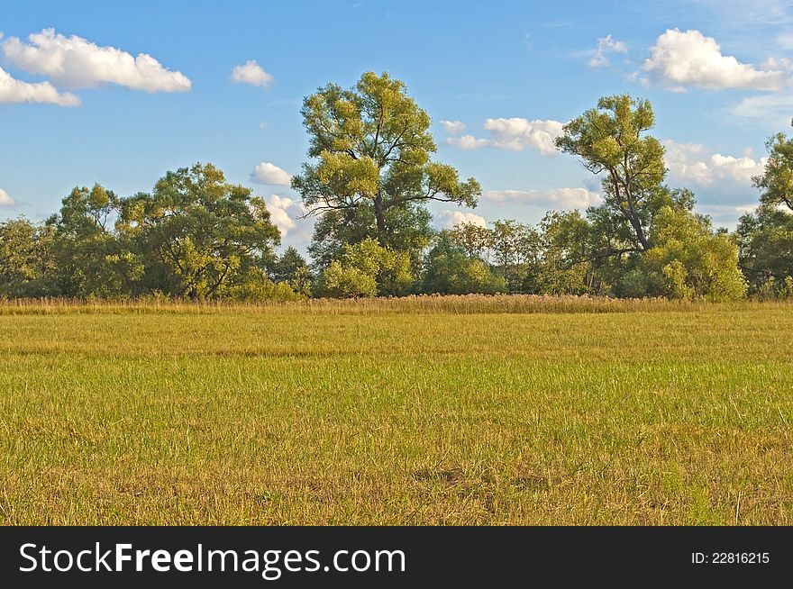 Sloping field on trees background, sunny autumn day. Sloping field on trees background, sunny autumn day