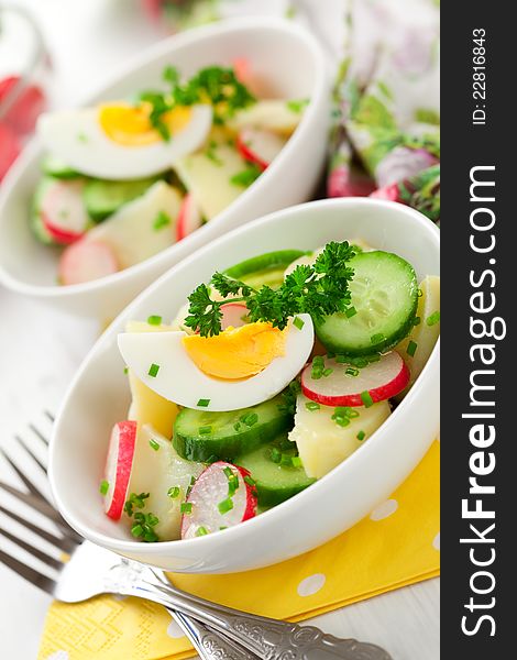 Potato salad with egg,radishes and cucumbers