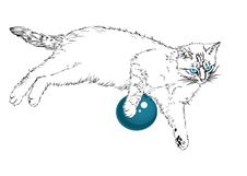 Blue-eyed Cat. Stock Images Blue-eyed Cat. Stock Images