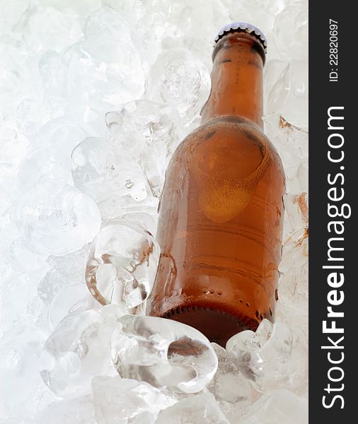 Beer Bottle On Ice