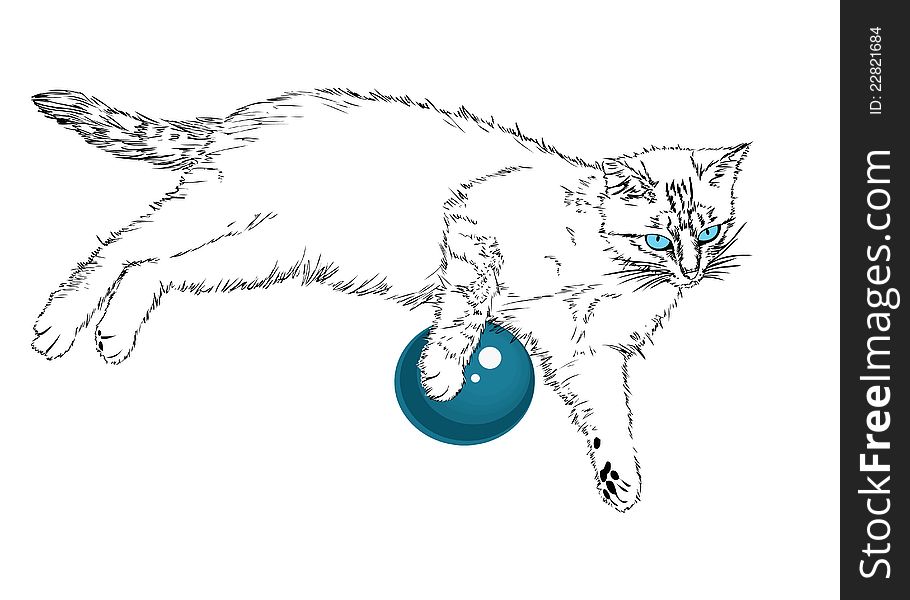 Blue-eyed cat.(Vector illustration)