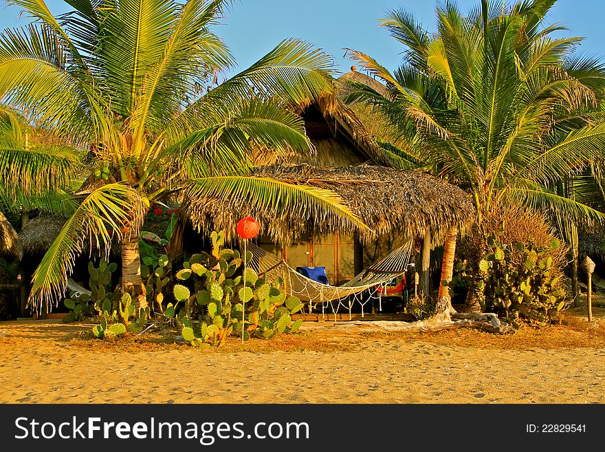 Palms, Hammock, Pacific Ocean, Mexico