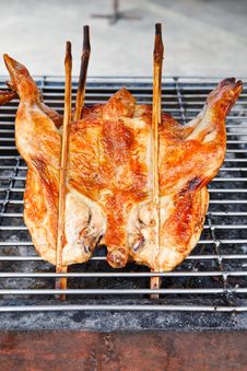 Chicken Grilled Royalty Free Stock Photography Chicken Grilled Royalty Free Stock Photography
