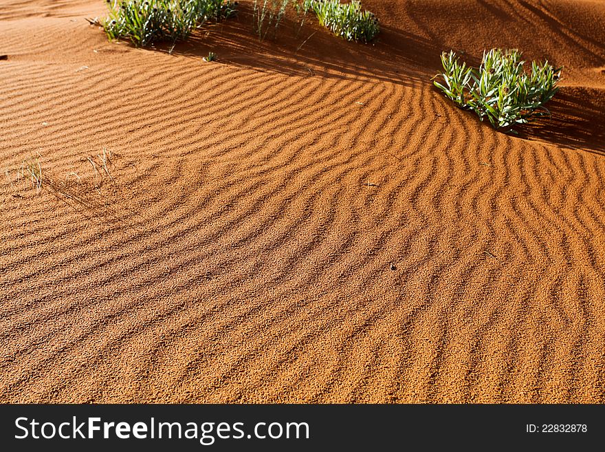 Coral Pink Sand Dune Pattern