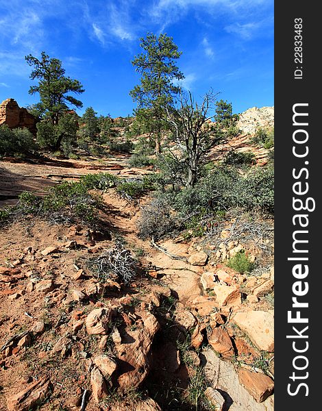 Trail Near Bryce Canyon National Park